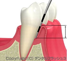 診査・診断