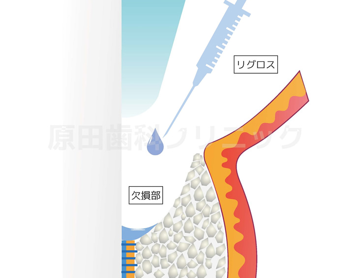 カウンセリング・検査