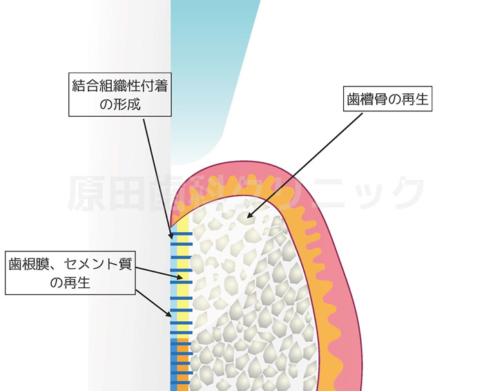 カウンセリング・検査